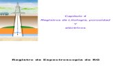 04_Registros de litologia porosidad y electricos-V6.ppt