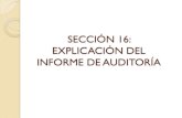 Sesion  17  informe de auditoría.pdf