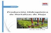 INTA Producci%C3%B3n Hidrop%C3%B3nica de Hortalizas de Hojas