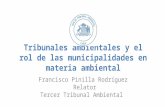 Taller Tribunales Ambientales y Municipalidades 2015