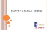 Morfofisiologia Humana