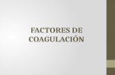 Factores de Coagulaci³n