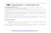 Enzimas Cardiacas II Ck Ckmb Tgo Ldh[1]