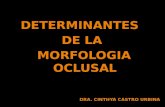 1.Determinantes de La Morfología Oclusal