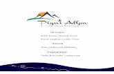 PiquiAllpa- Plan de Negocio.pdf