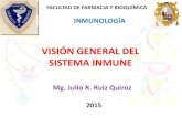 Vision General Del Sistema Inmune 2015