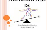 Homeostasis Clases