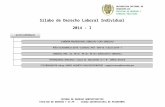Silabo Derecho Admnistrativo 2014