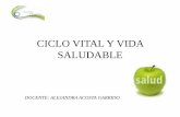 Ciclo Vitaly Vida Saludable Introduccion y Clase 1
