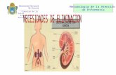 Diapositiva - Eliminacion Urinaria (Metodologia)