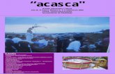 ACASCA 2009.pdf