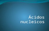 Acidos nucleicos profundizado