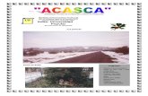 ACASCA 16.pdf
