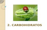 2 Carbohidratos .pptx