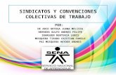 Sindicatos y Convenciones Colectivas de Trabajo Diapositivas
