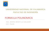 0010 Formula Polinomica 1