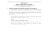 Manual de Contabilidad Gubernamental- 2013 - Danya