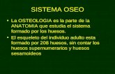 OSTEOLOGIA (2)
