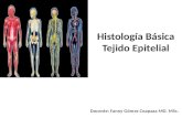01-Histologia-Tejido-Epitelial (1).pptx