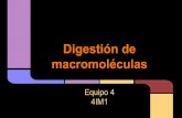 Digestion de macromeleculas10junio.pdf
