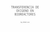 Transferencia de Oxigeno en Bioreactores