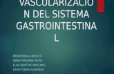 Vascularizacion Del Sistema Gastrointestinal Fgf