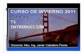 Tema1 Puentes Invierno 2011 18-7-11