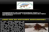 Experiencia_de_asociatividad_para_la_comercializacion_y_exportacion_de_fibra_de_alpaca_Juan_Portada (1).pptx