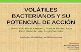 Volátiles Bacterianos y Su Potencial de Acción