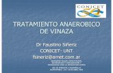 Dr. Faustino Sieriz - Tratamiento Anaerbico de La Vinaza