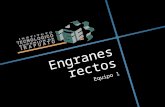 Engranes Rectos Expo