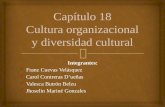 Cultura organizacional y diversidad cultural.