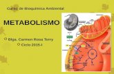Clase 7 de Bioquimica Metabolismo 2015-i