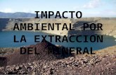 Impacto ambiental por la extracción(SISTEMATICA).pptx
