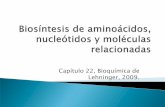 Biosintesis Aa y Metab Nucleotidos