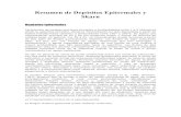 Resumen Depósitos Epitermales&Skarndocx