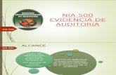 Evidencias de Auditoria - Nia 500 (1)