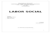 INTRODUCCIÓ1 Labor Social
