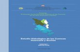 estudio hidrológico cuencas huancané y suches - texto final 2010
