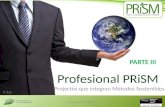 ©Copyright GPM 2009-2013 V 3.0 Profesional PRiSM Projectos que integran Métodos Sostenibles PARTE III.