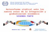 PROYECTO FSAL / ACTRAV Autoreforma sindical ante los nuevos retos de la integración y globalización económica SEGUNDA PARTE Oficina Internacional del Trabajo.