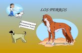 LOS PERROS Presentación Jeanine Carr Juego de perros.