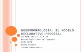 NEUROMORFOLOGÍA: EL MODELO DECLARATIVO- PROCESAL 25 MAR 2011 – DÍA 29 Neurolingüística del español SPAN 4270 Harry Howard Tulane University.