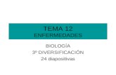 TEMA 12 ENFERMEDADES BIOLOGÍA 3º DIVERSIFICACIÓN 24 diapositivas.