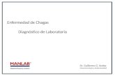 Enfermedad de Chagas Enfermedad de Chagas Diagnóstico de Laboratorio Diagnóstico de Laboratorio Dr. Guillermo G. Nuñez Inmunoserología y Autoinmunidad.