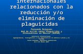 Convenios internacionales relacionados con la reducción y/o eliminación de plaguicidas Fernando Bejarano Red de Acción sobre Plaguicidas y Alternativas.