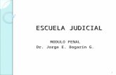 ESCUELA JUDICIAL MODULO PENAL Dr. Jorge E. Bogarín G. 1.