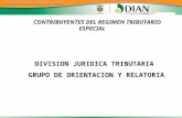 CONTRIBUYENTES DEL REGIMEN TRIBUTARIO ESPECIAL DIVISION JURIDICA TRIBUTARIA GRUPO DE ORIENTACION Y RELATORIA.