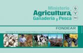 FONDEAR Secretaría de Coordinación Político-Institucional y Emergencia Agropecuaria.