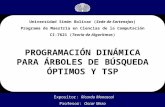 PROGRAMACIÓN DINÁMICA PARA ÁRBOLES DE BÚSQUEDA ÓPTIMOS Y TSP Universidad Simón Bolívar (Sede de Sartenejas) Programa de Maestría en Ciencias de la Computación.